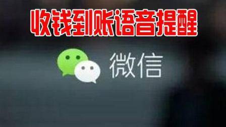 微信收款到账不知道? 教你打开语音到账提醒, 每笔收款都清楚