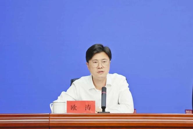 贴息政策担保分险政策_湖南省财政金融协同促内需若干措施_保险资金投资基础设施