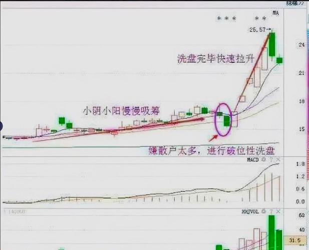 跟庄操作_股票怎么看有无套牢_主力出货时机