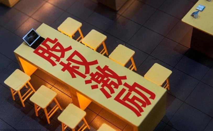 股权激励咨询机构选择_长期激励方案设计_公司向个人融资协议模板